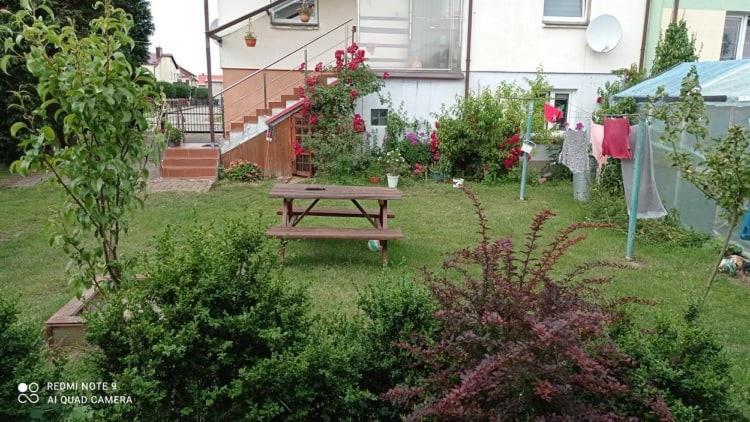 Domki Letniskowe U Janka Ustronie Morskie Buitenkant foto